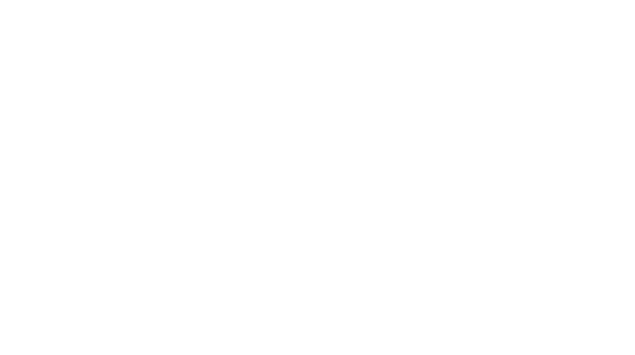 FlyZone Travels